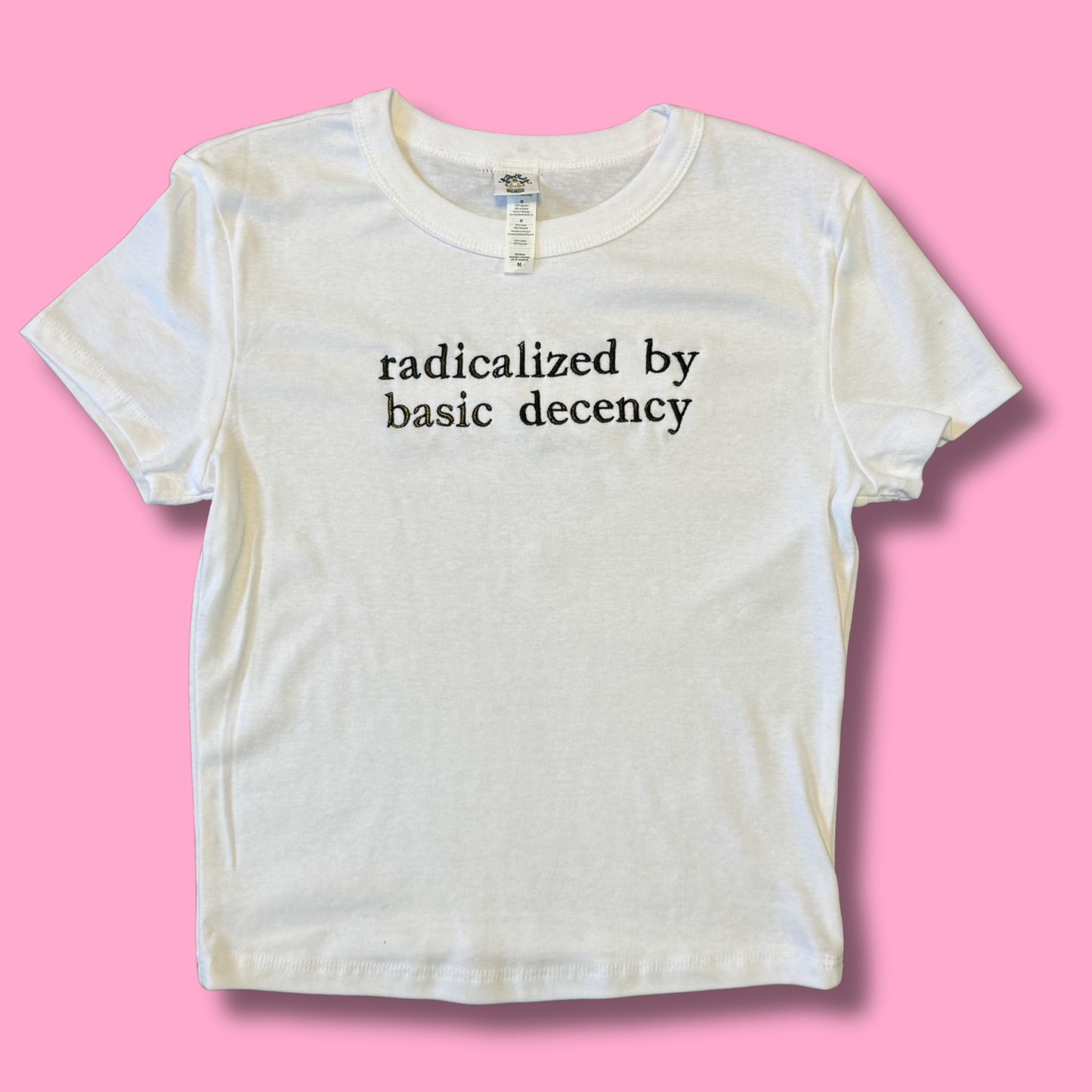 Radicalized By Basic Decency Embroidered Unisex or Baby Tee