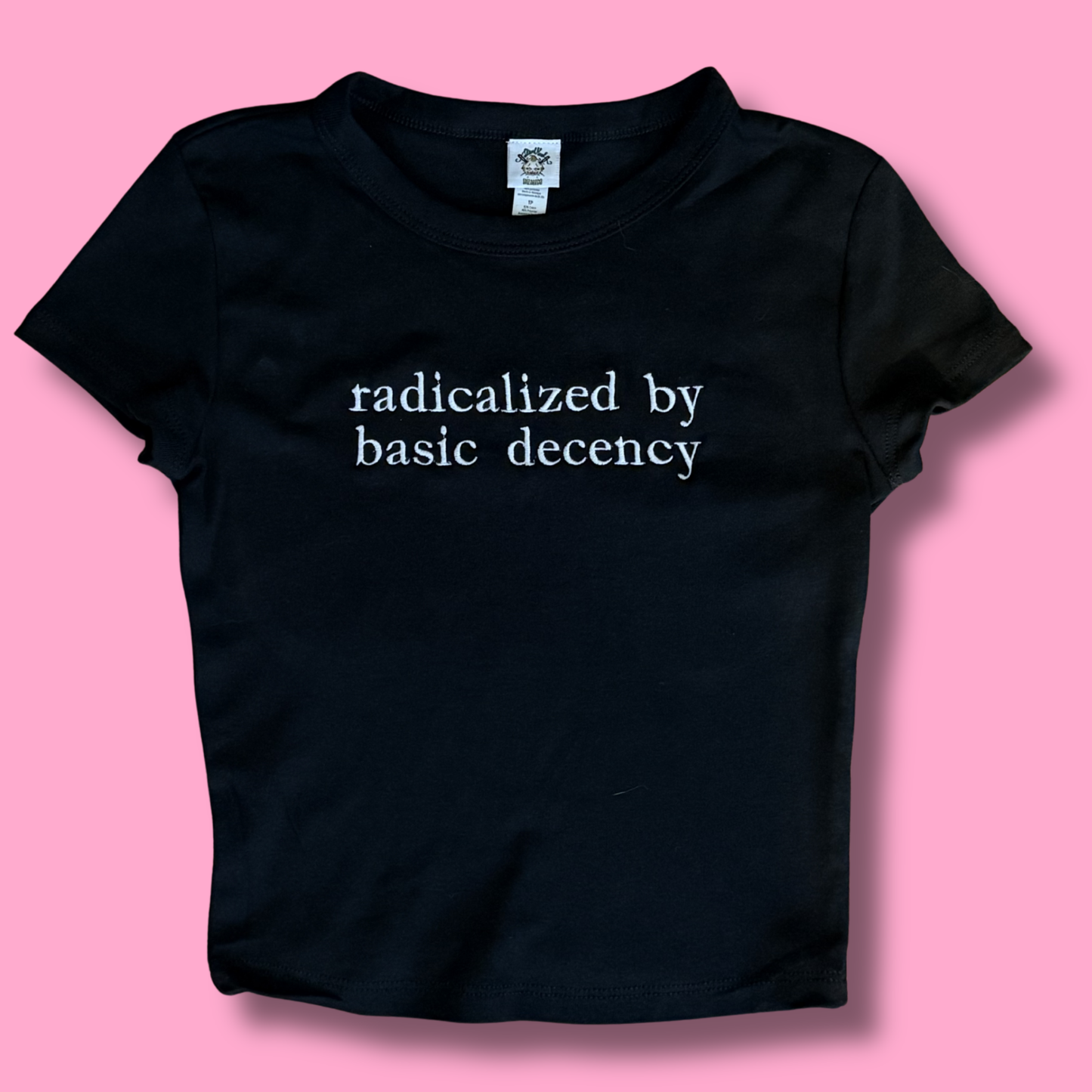 Radicalized By Basic Decency Embroidered Unisex or Baby Tee