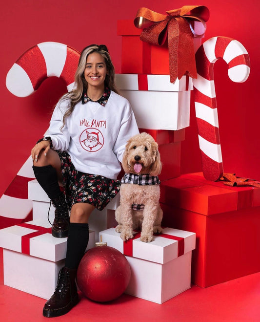 Hail Santa Embroidered Holiday Sweatshirt